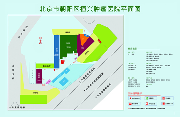 男同互操3d北京市朝阳区桓兴肿瘤医院平面图